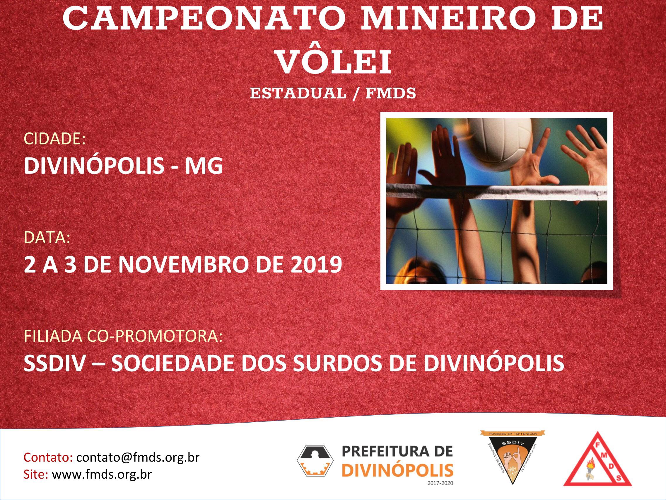 Campeonato Mineiro de Volei